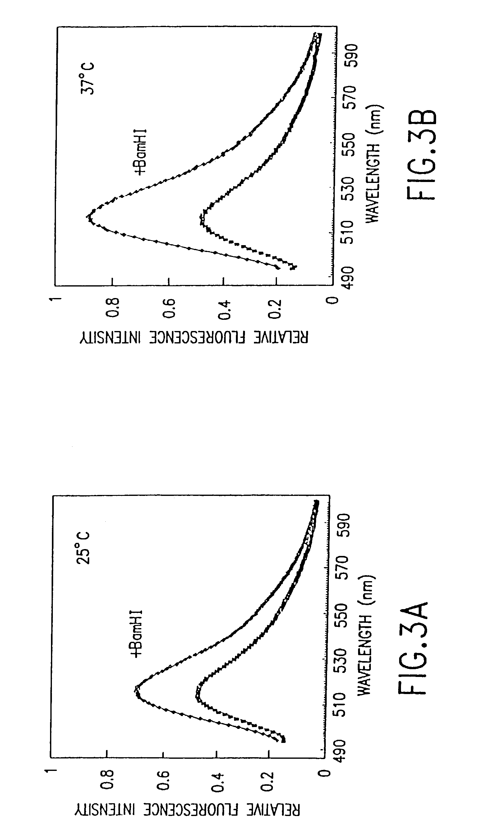 Fluorometric assay for detecting nucleic acid cleavage