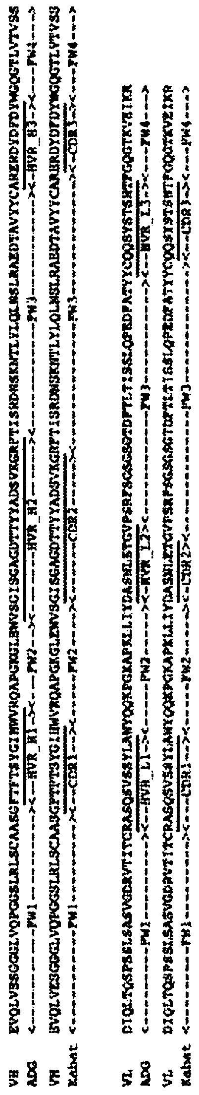 Anti-cd137 molecules and use thereof