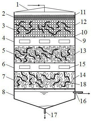 Bacterial earthworm filter for synchronous treatment of sewage and sludge and application thereof