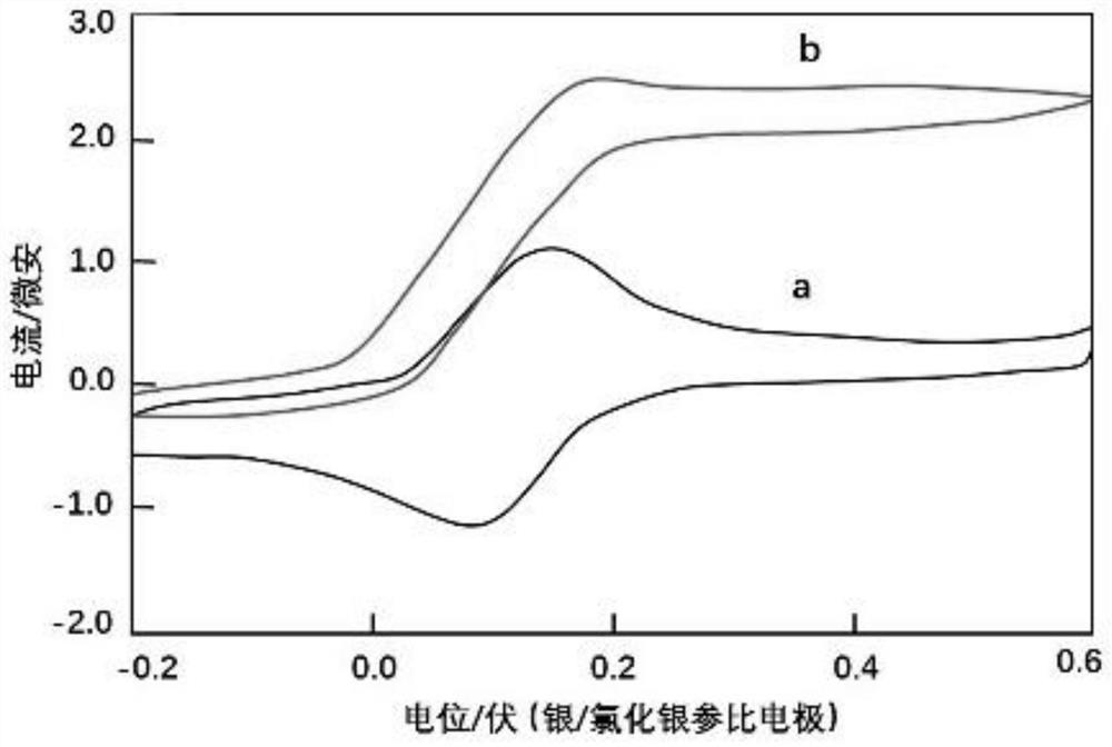 Oxidoreductase for improving electrochemical activity and biosensor containing oxidoreductase