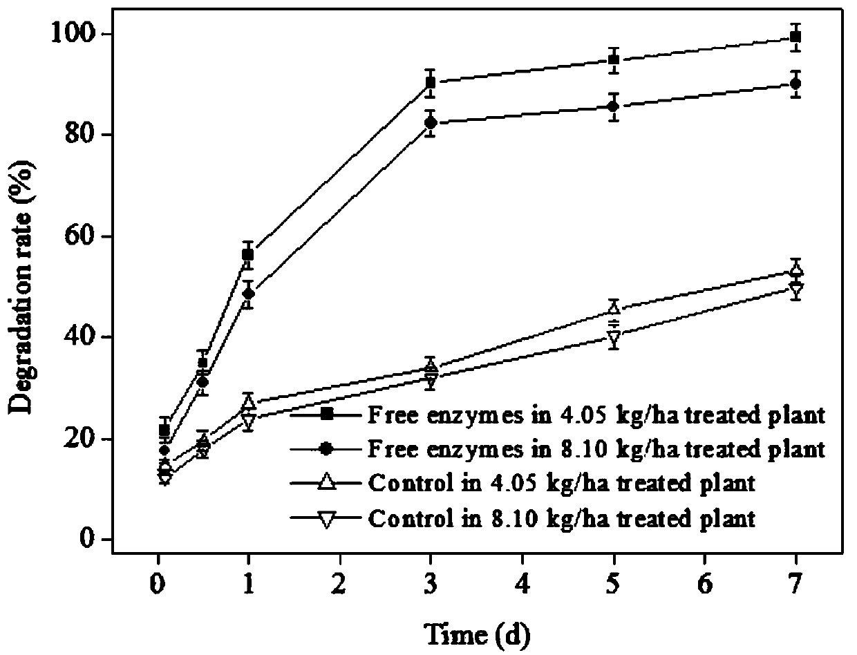 Preparation method and application of Brevundimonas naejangsanensis enzyme agent to efficiently degrade dimethachlon