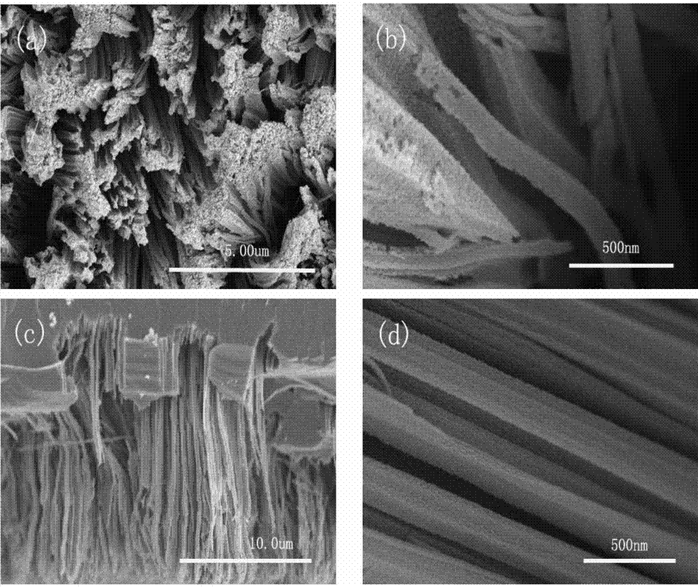 Preparation method of one-dimensional silicon nanowires with different linear densities