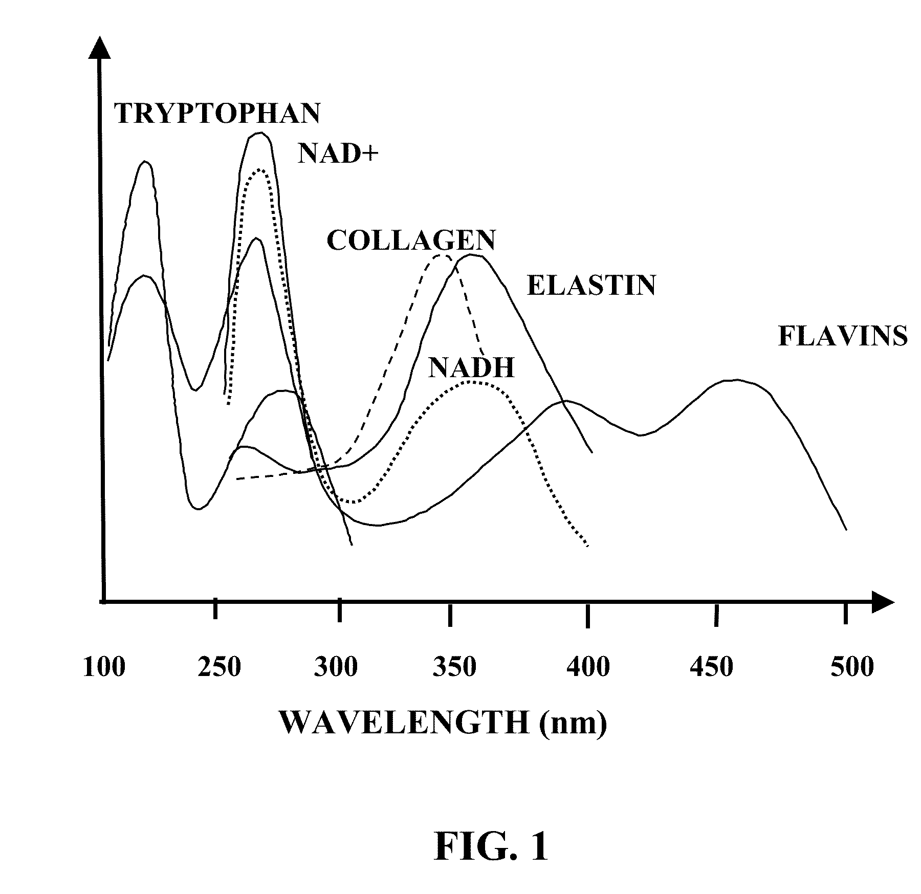 Method and apparatus for producing supercontinuum light for medical and biological applications