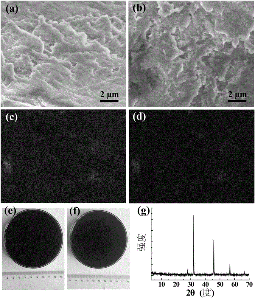 Multifunctional thermosensitive agarose hydrogel and preparation method and application thereof