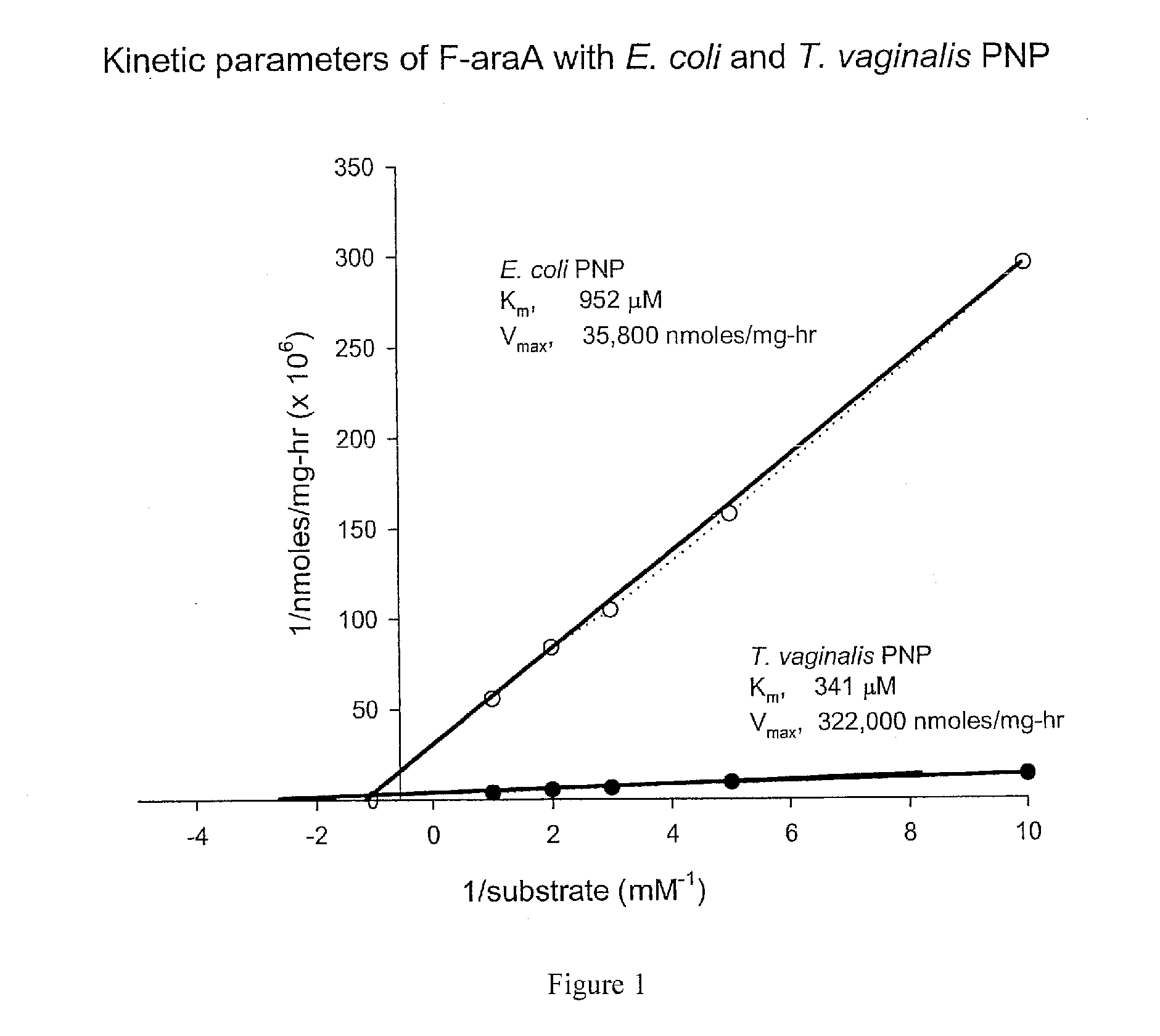 Purine nucleoside phosphorylase as enzymatic activator of nucleoside prodrugs