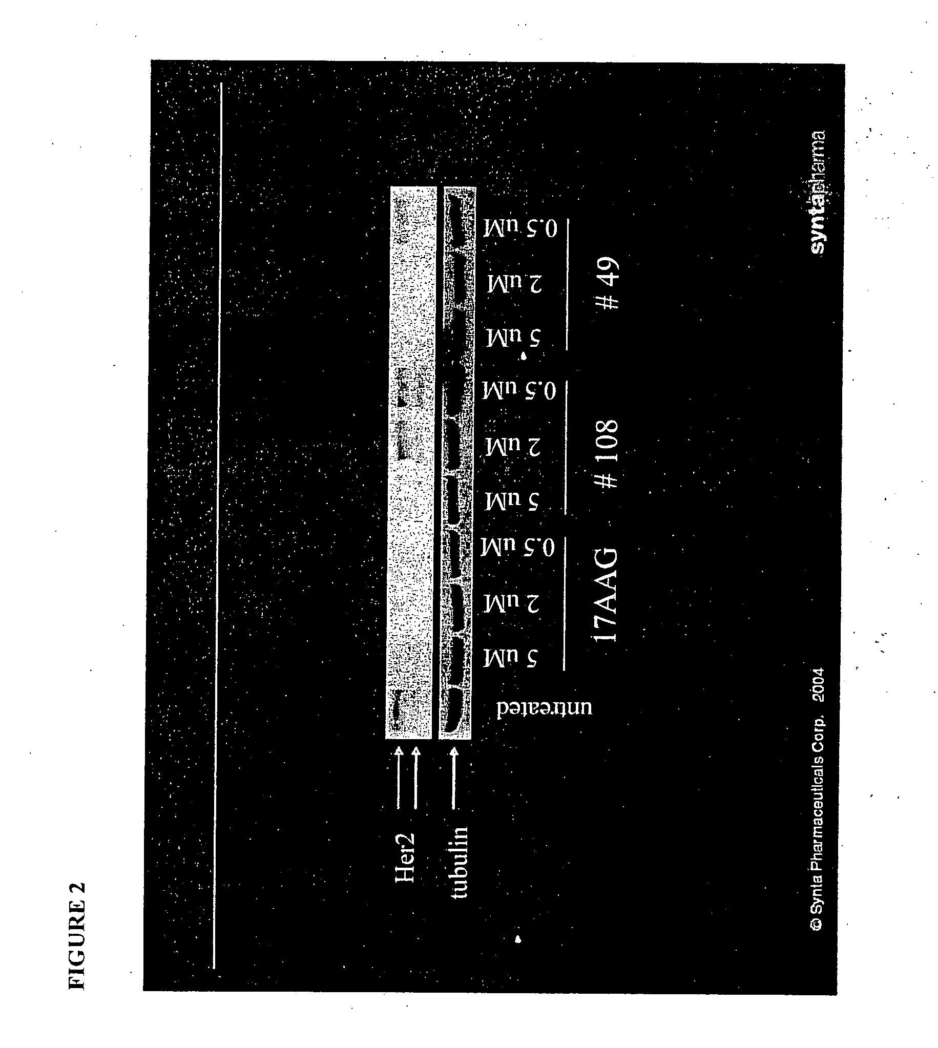 Method for treating inflammatory disorders