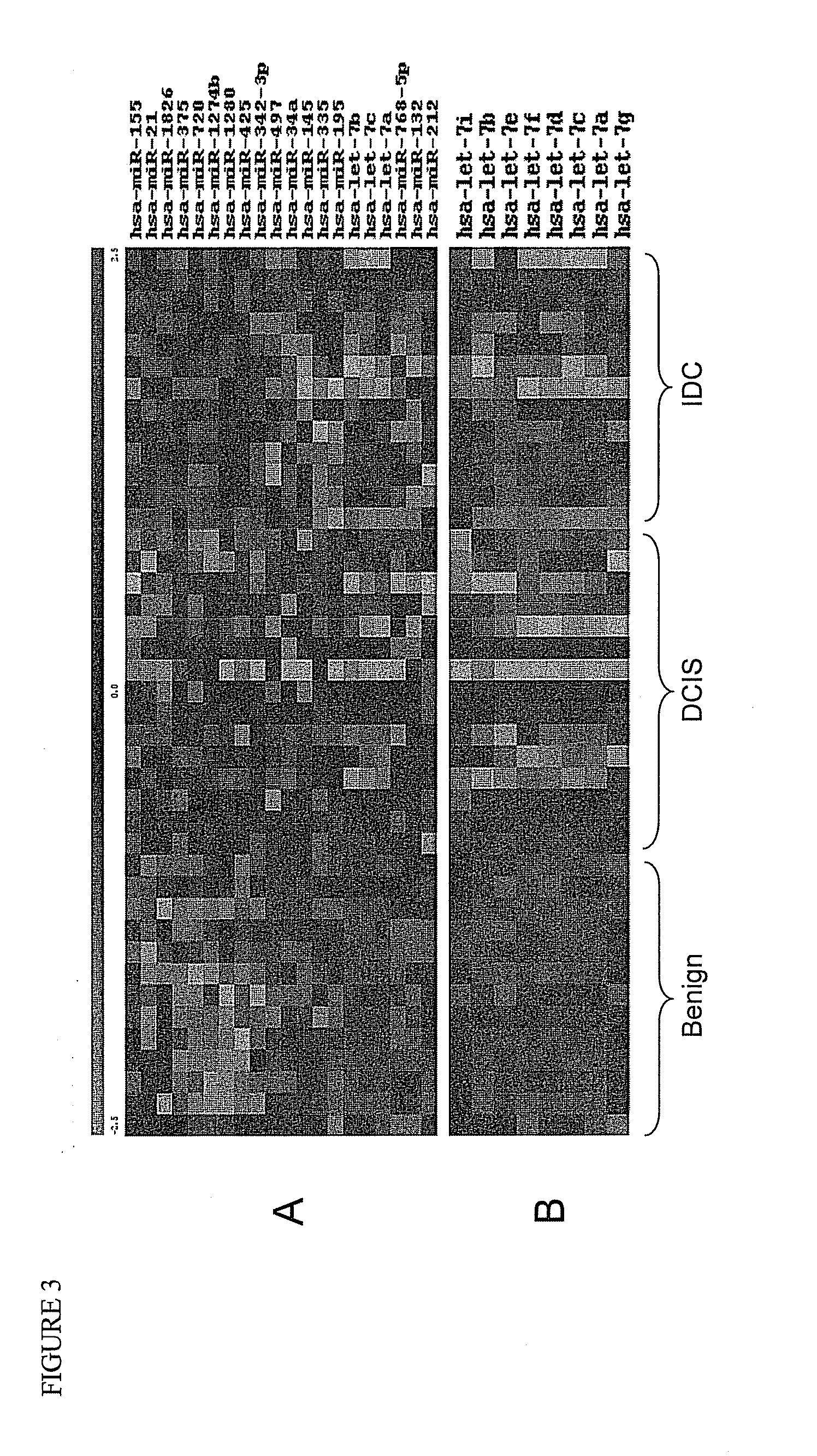 Polynucleotides for use in treating and diagnosing cancers