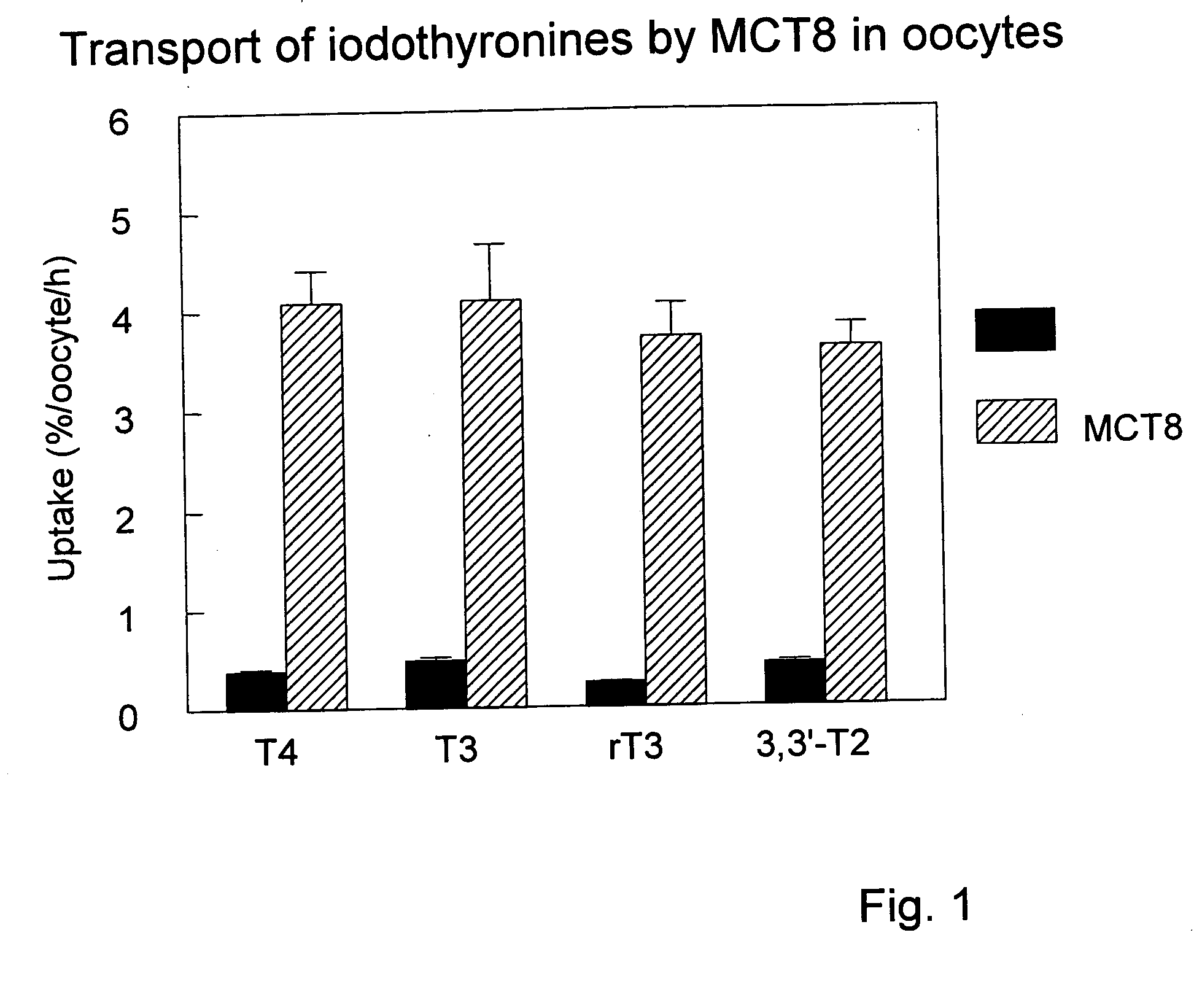 Use of monocarboxylate transporter protein for thyroid hormone transport