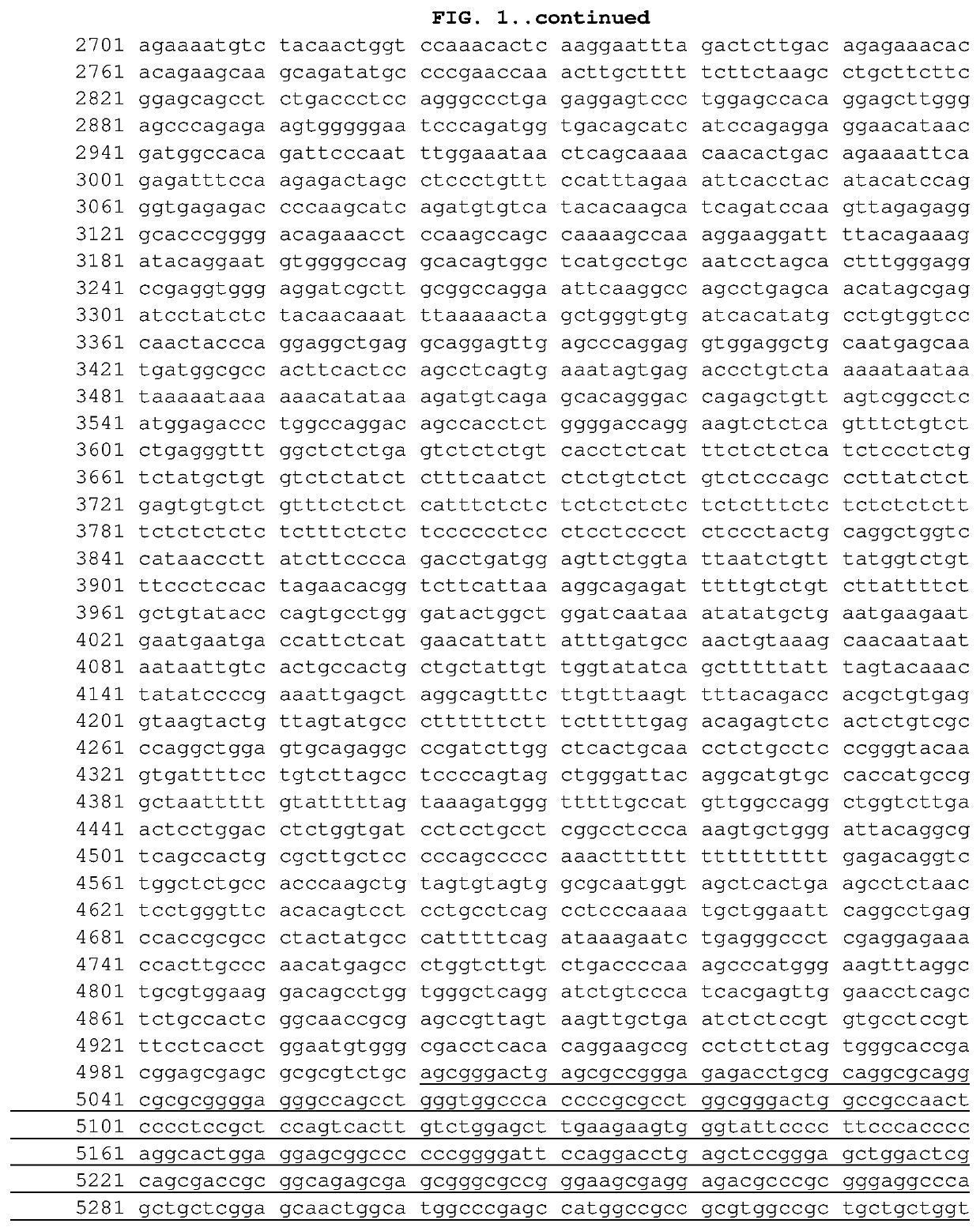 Poliovirus receptor (pvr/cd155) knockout cells derived from rd (human rhabdomyosarcoma) cell line by crispr