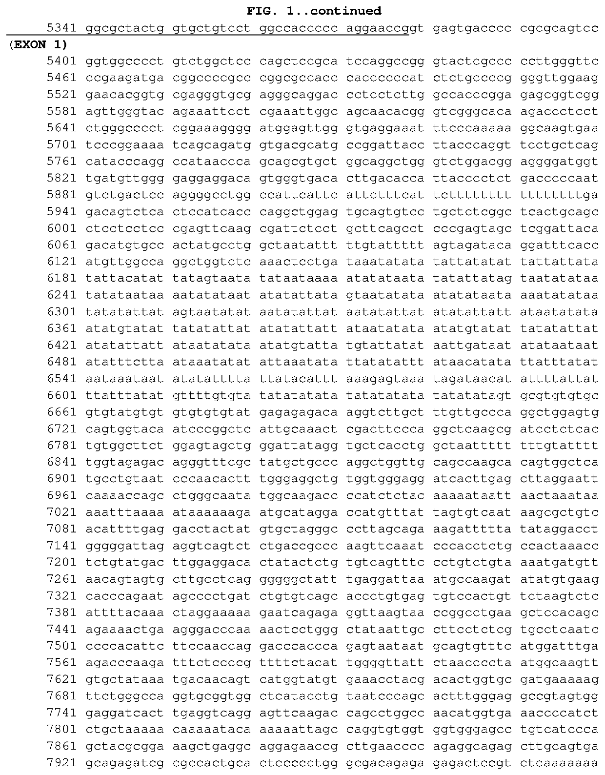 Poliovirus receptor (pvr/cd155) knockout cells derived from rd (human rhabdomyosarcoma) cell line by crispr