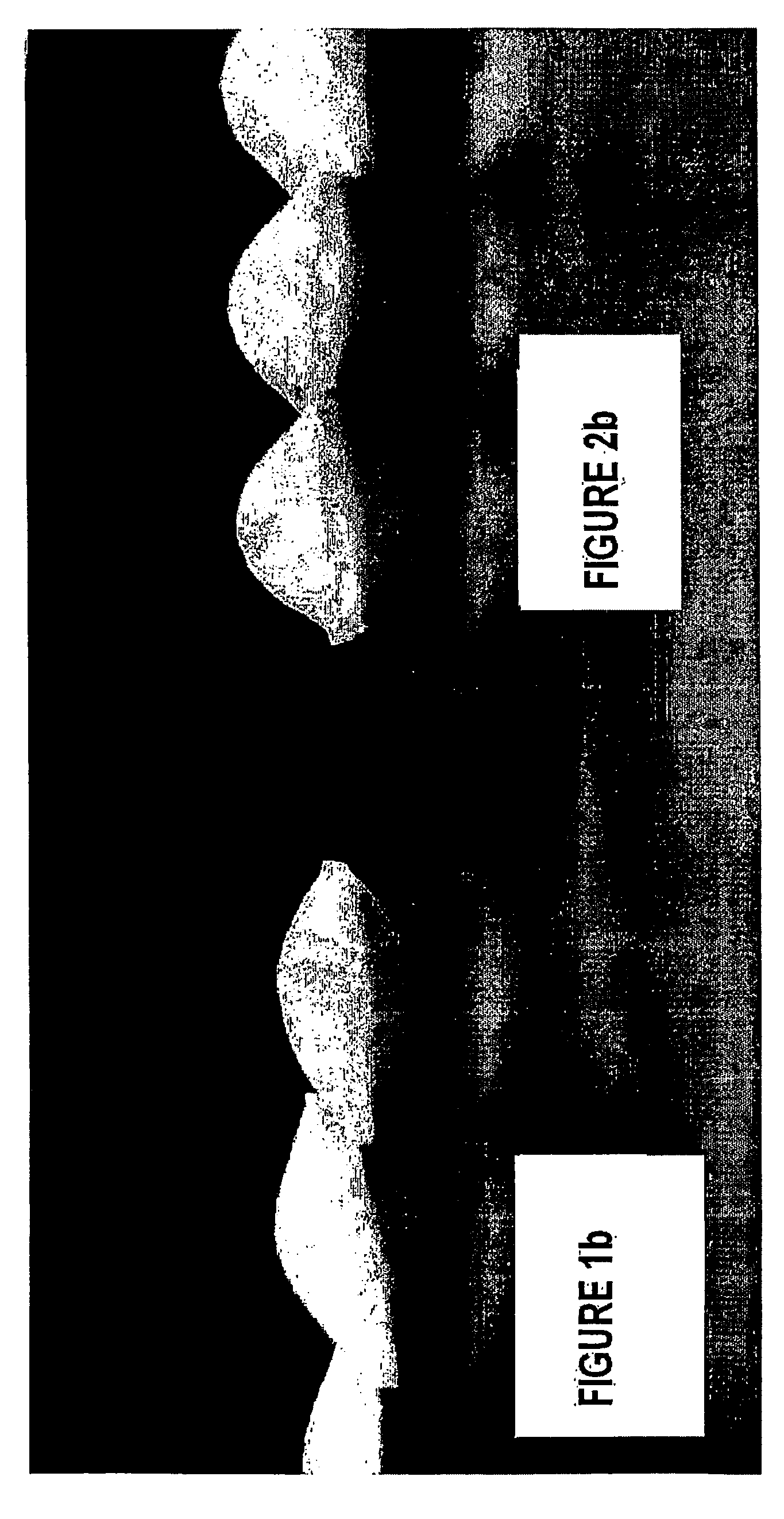 Method for the production of food products having reduced fat content