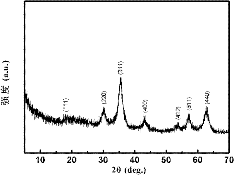 Preparation method of water-dispersible graphene/ferroferric oxide (Fe3O4) composite powder