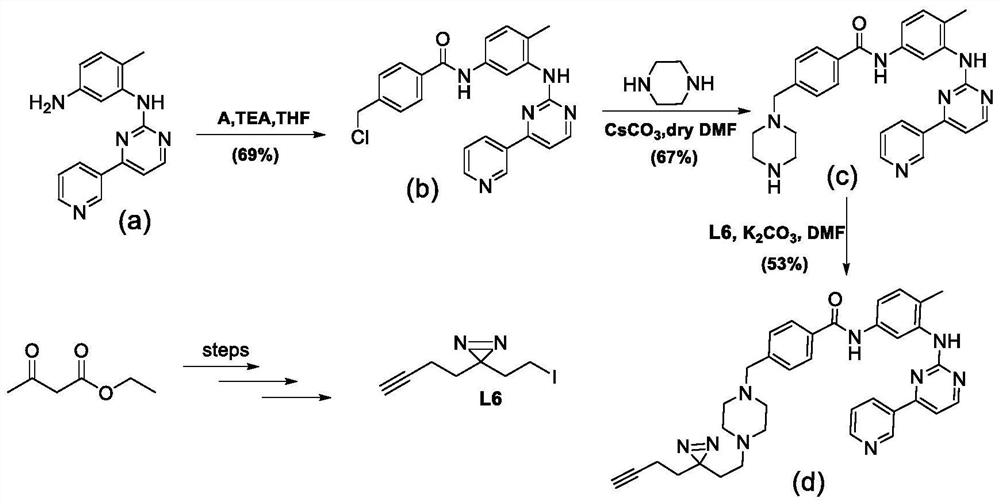 In-vitro drug sensitivity detection method based on drug probe and tissue slice