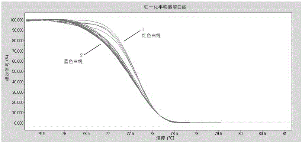 A kind of SNP molecular marker primer of pear fruit sepal state main effect qtl locus and its application