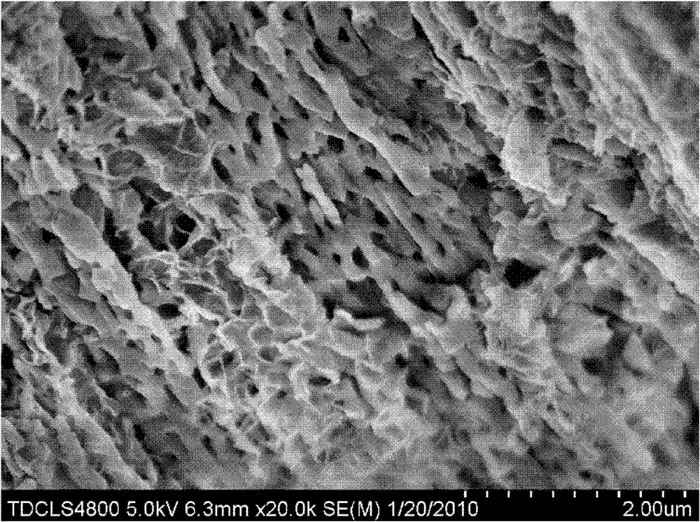 Biological porous bone cement prepared by compositing Sr-doped calcium-phosphorus bioglass and alpha-tricalcium phosphate and preparation method thereof