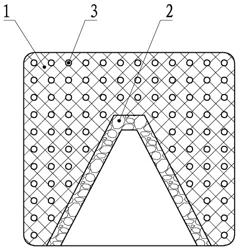 Sea anemone breeding device and method