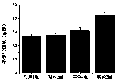 Method for preparing traditional Chinese medicine residue high-activity organic fertilizer by sectional inoculation
