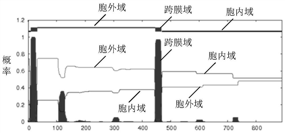 Expression and Purification of Peach Receptor-Like Protein Kinase