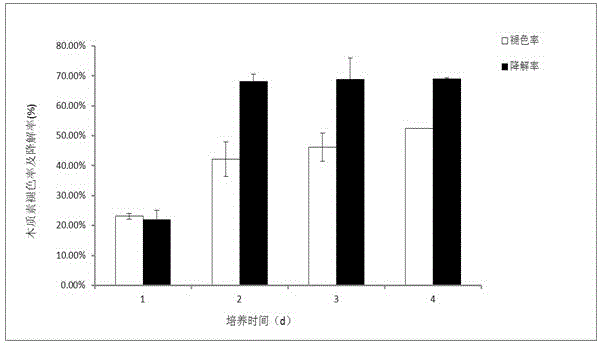 Rice endophyte (Pantoea sp. Sd-1) for efficiently degrading lignin