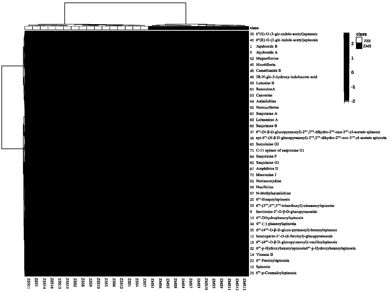 Method for analyzing differential chemical components of seeds of Ziziphus jujuba Mill. and seeds of Ziziphus mauritiana Lam. through UHPLC-Q-Orbitrap MS