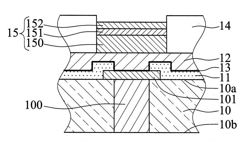 Substrate having electrical interconnection structure and fabrication method thereof
