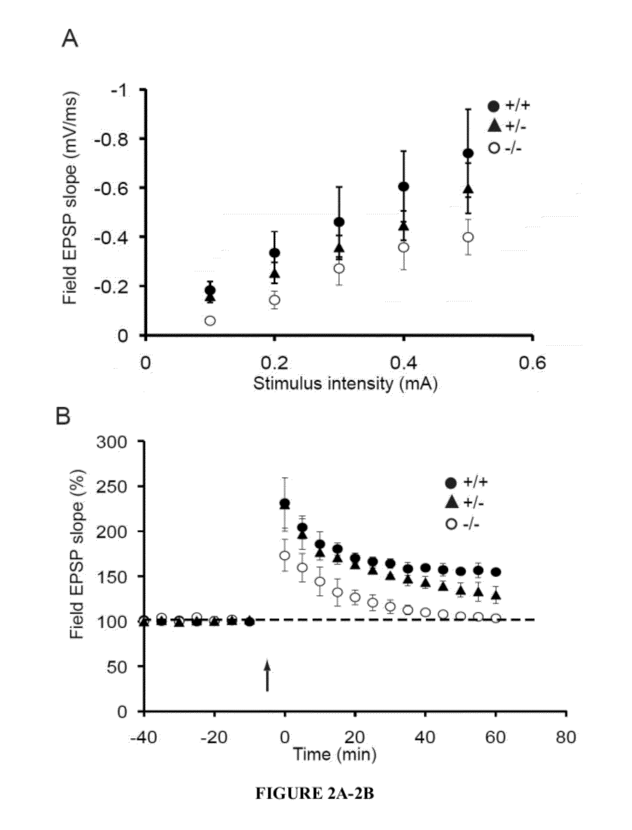 Methods and assays for treating subjects with shank3 deletion, mutation or reduced expression