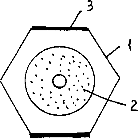 Treatment apparatus of fuel and its production method