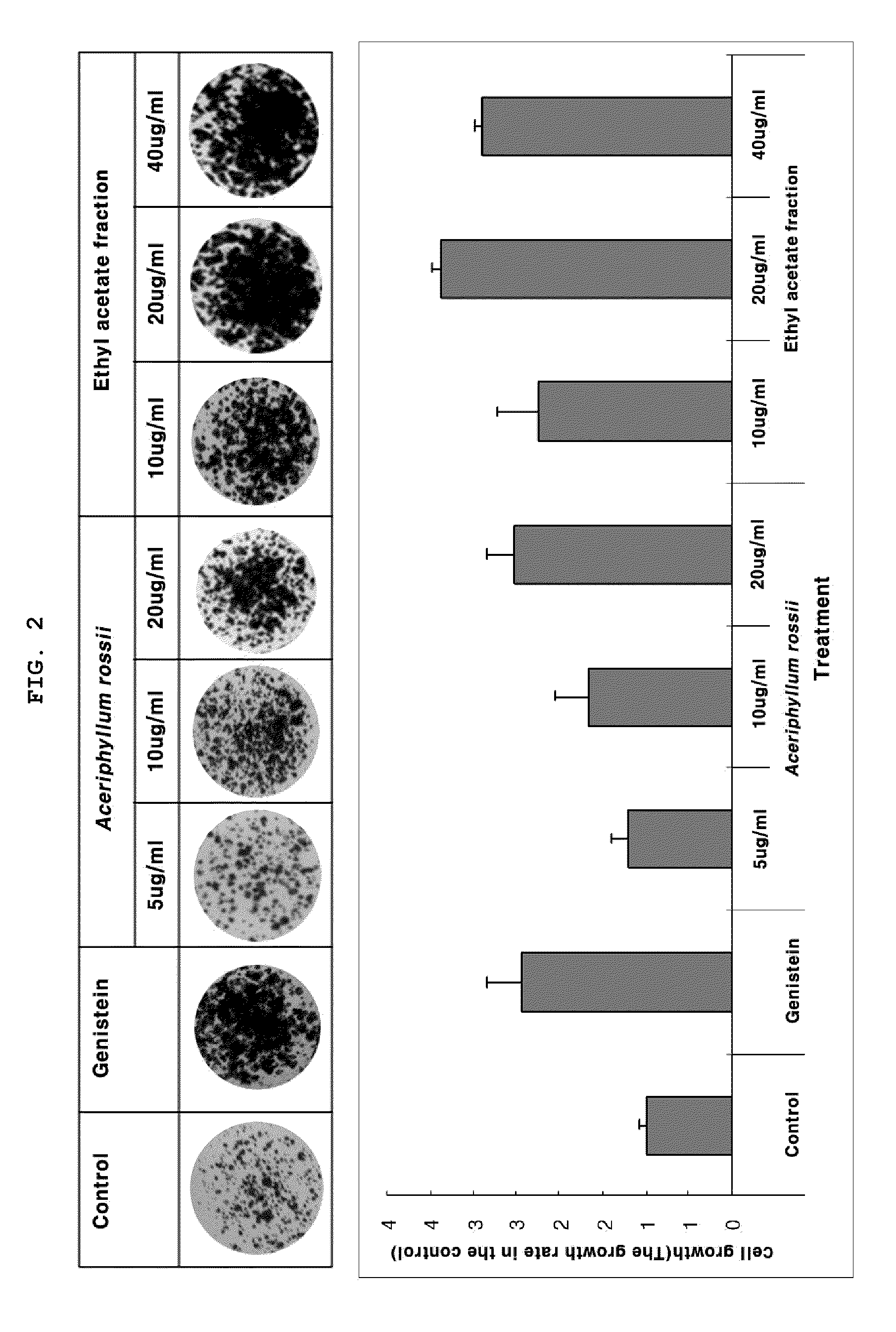 Composition for the prevention and treatment of postmenopausal syndrome containing extracts or fractions of Aceriphyllum rossii as an effective ingredient