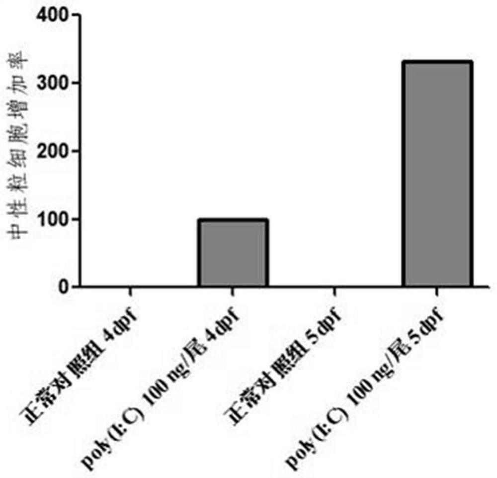 A method for evaluating the effect of drugs for preventing viral pneumonia