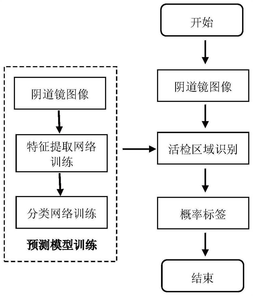 Cervical biopsy area recognition method and device based on multi-feature deep neural network