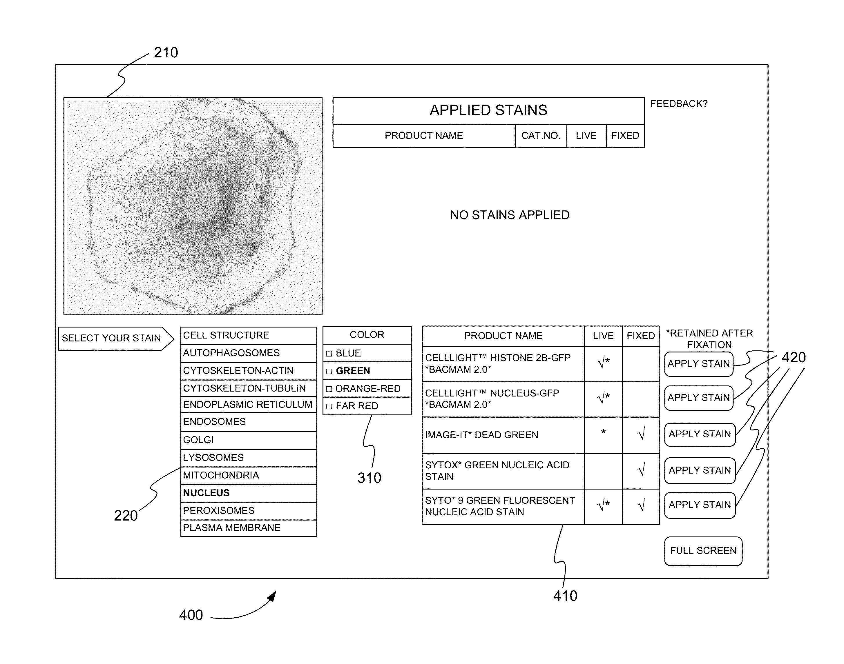 Virtual cellular staining