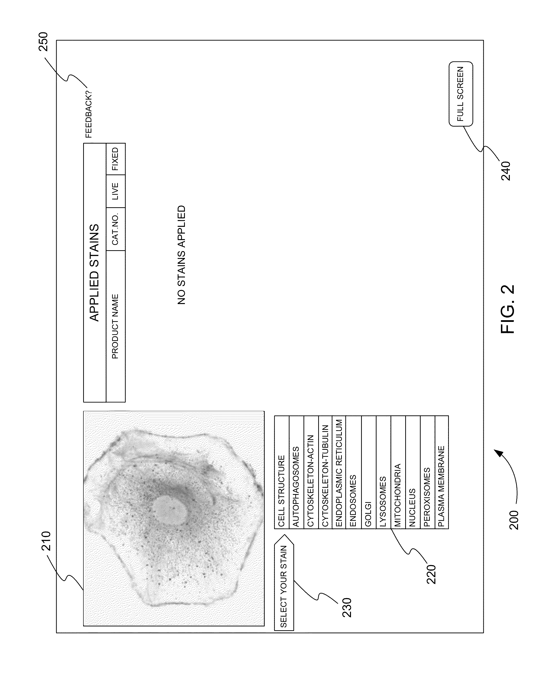 Virtual cellular staining