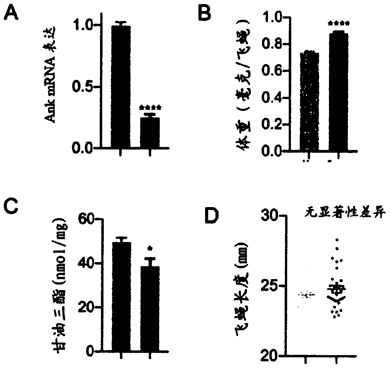 Methods of modulating ANK1