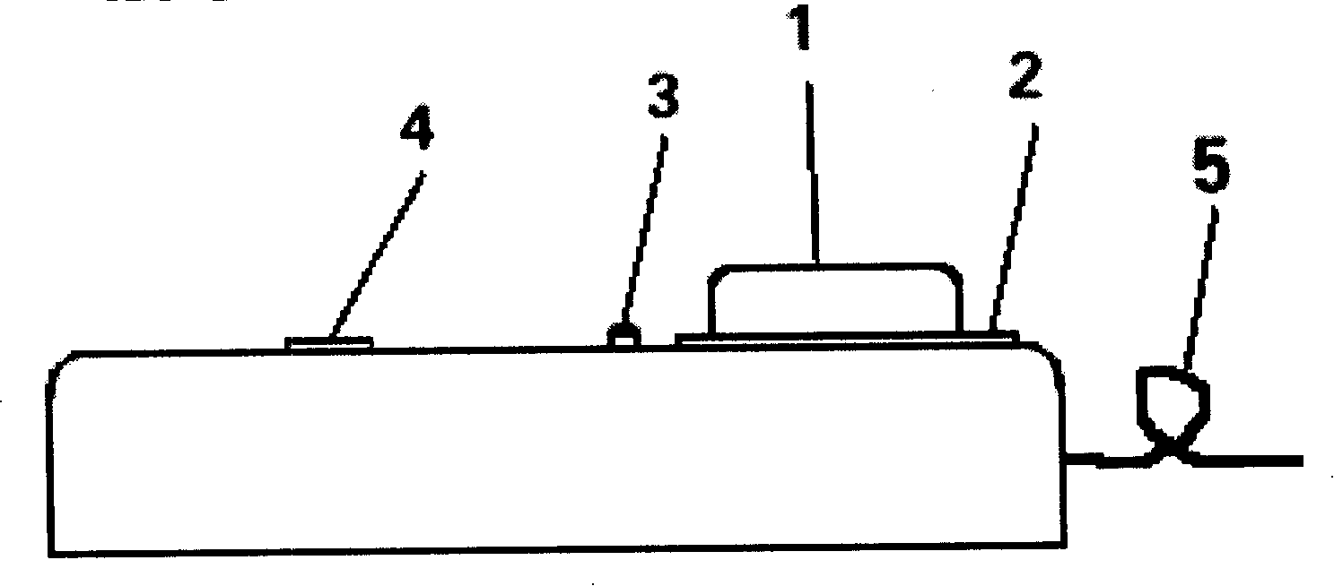 Socket with a timing switch