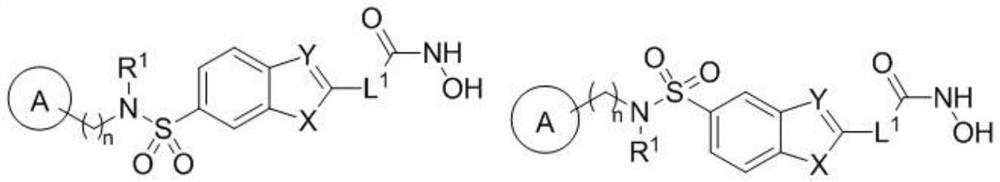 HDAC inhibitor and its preparation method and use