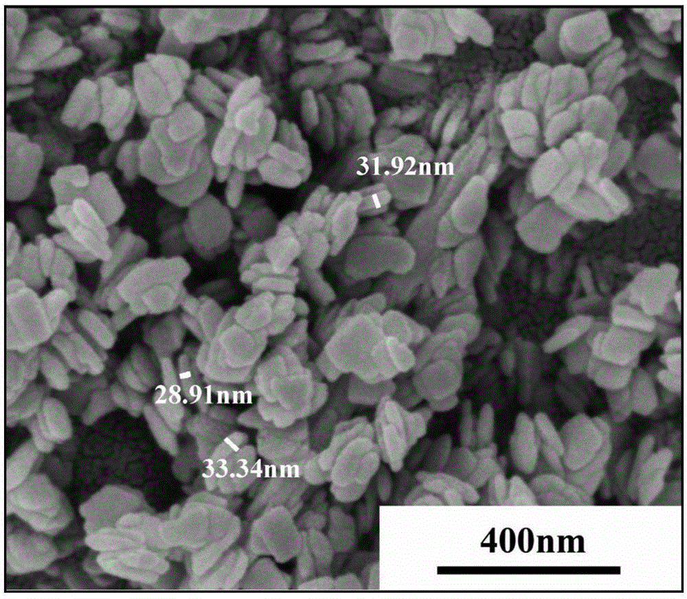 Preparation method and application of b-axial LiFePO&lt;4&gt;/C nano flake material
