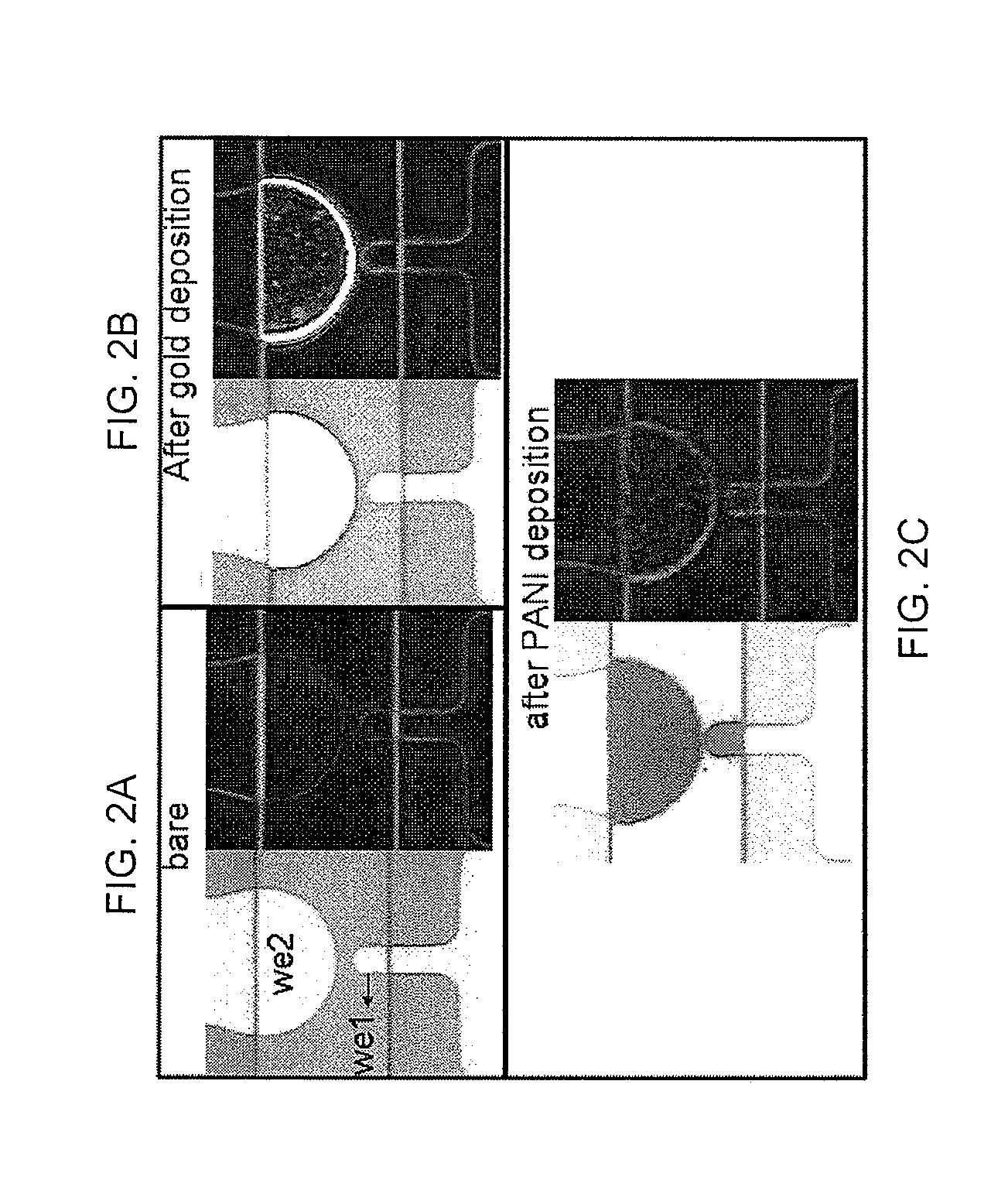 Systems and Methods for Integrated Electrochemical and Electrical Detection