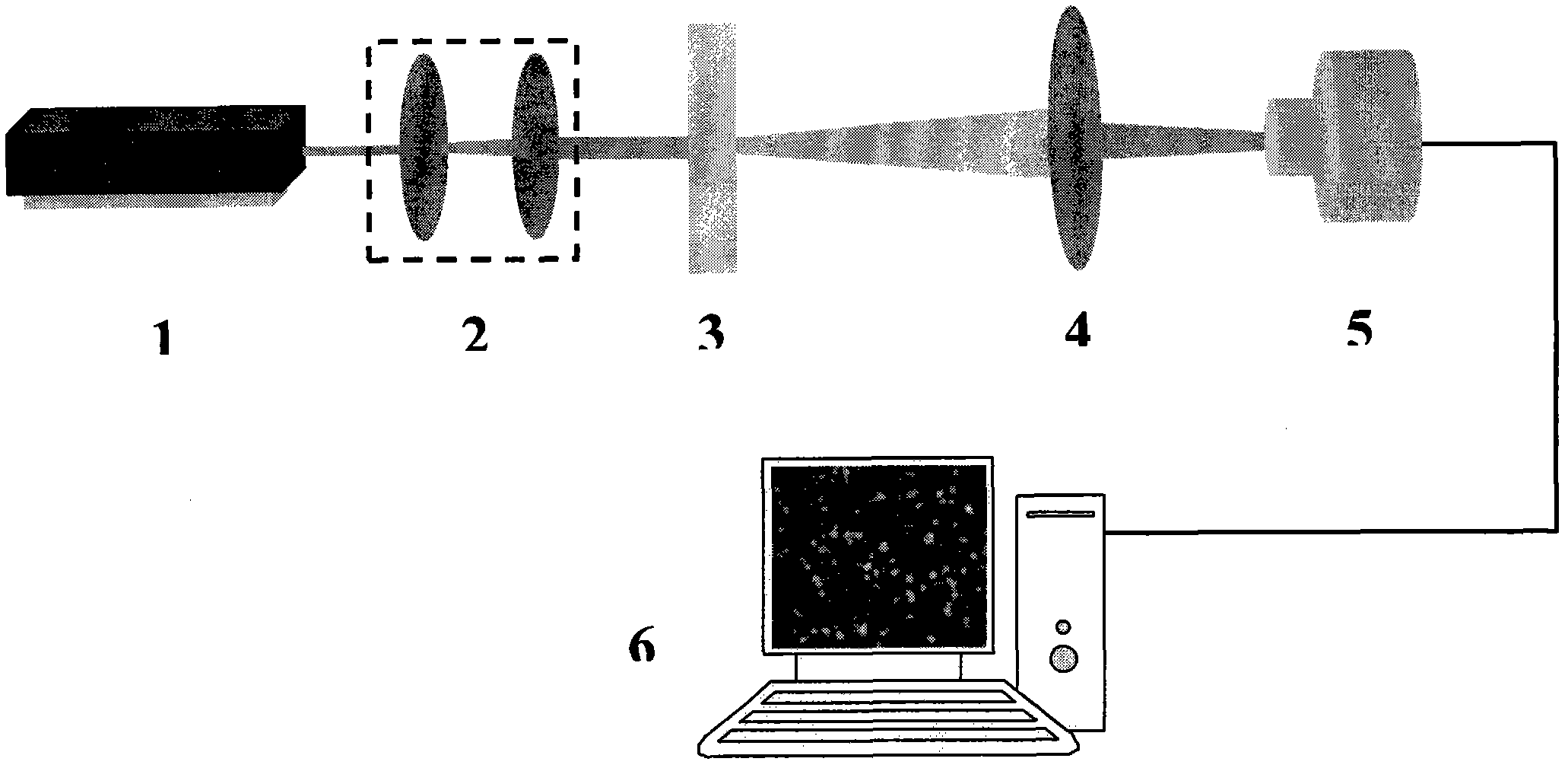 Phase vortex based digital speckle correlation measurement method