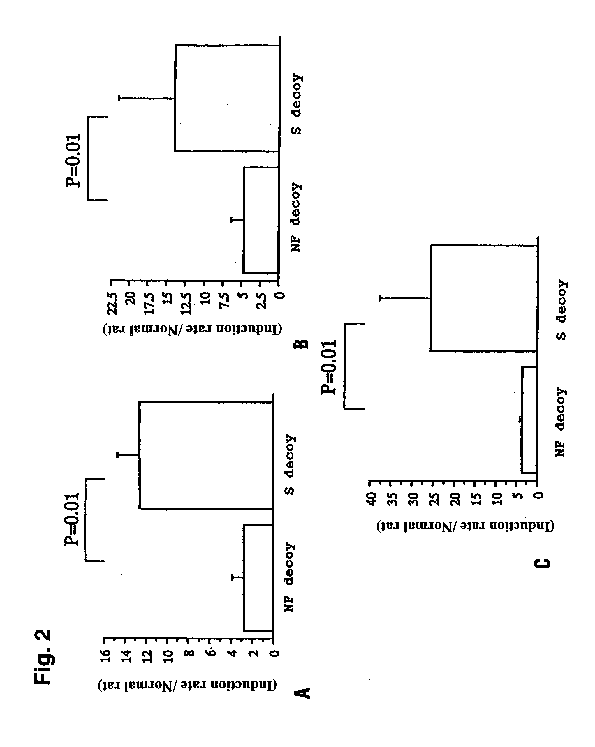 Decoy compositions for treating and preventing brain diseases and disorders