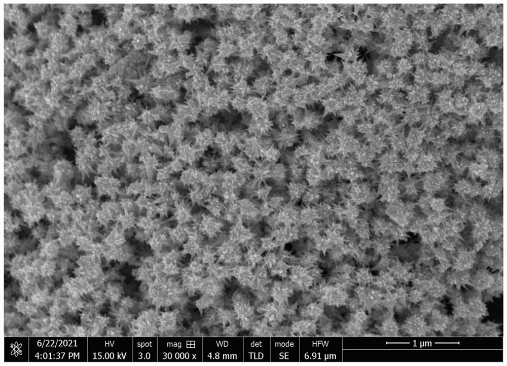 Method for growing gold nanoflower particles with sharp tips by using metal films