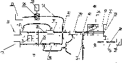 Automatic sample injection device