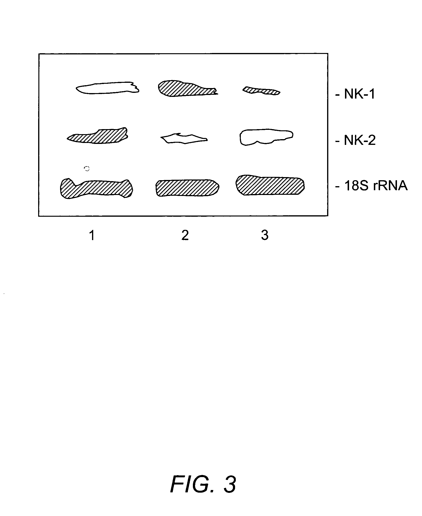 Amino terminal substance P compositions and methods for using the same