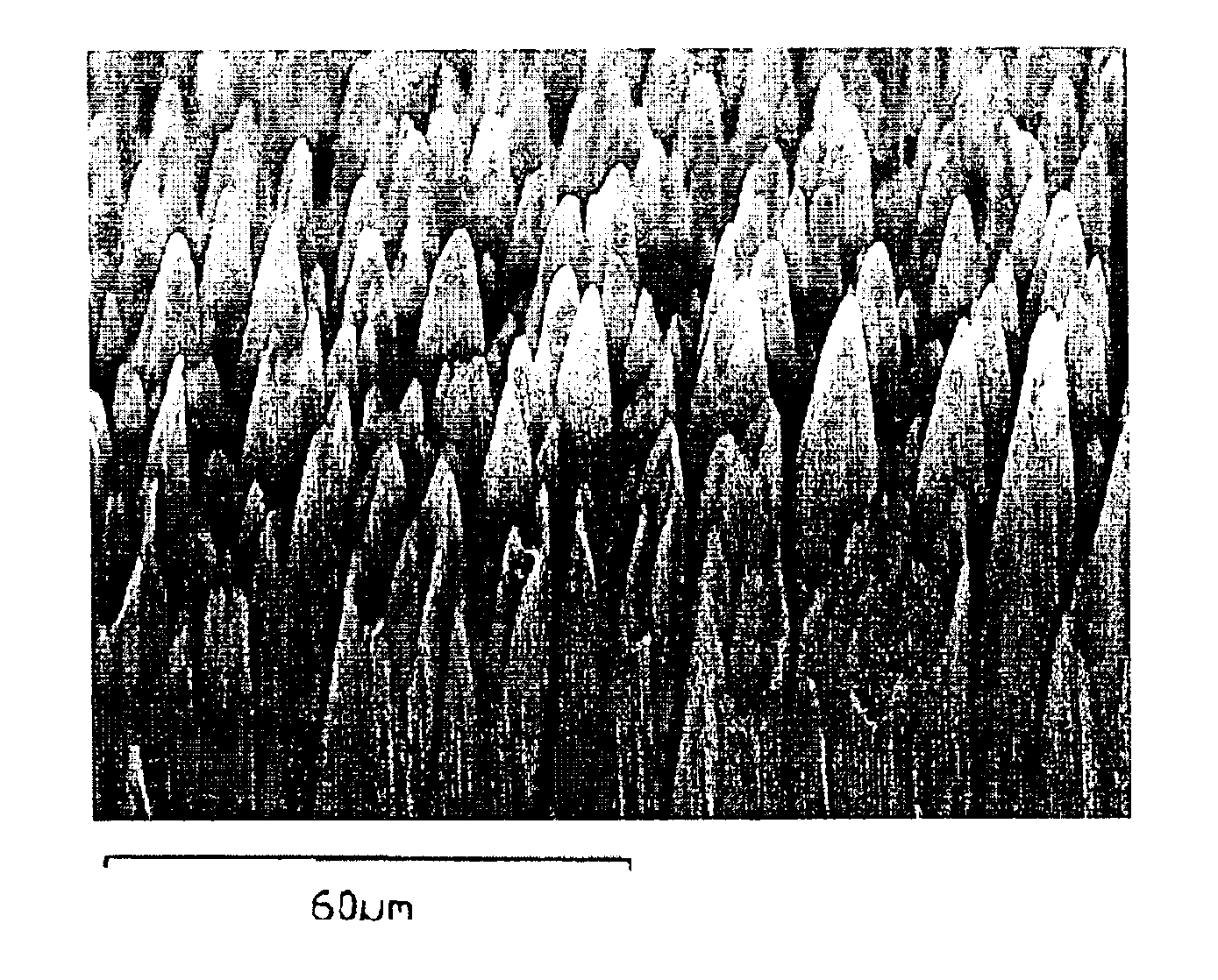 Method for processing one-dimensional nano-materials