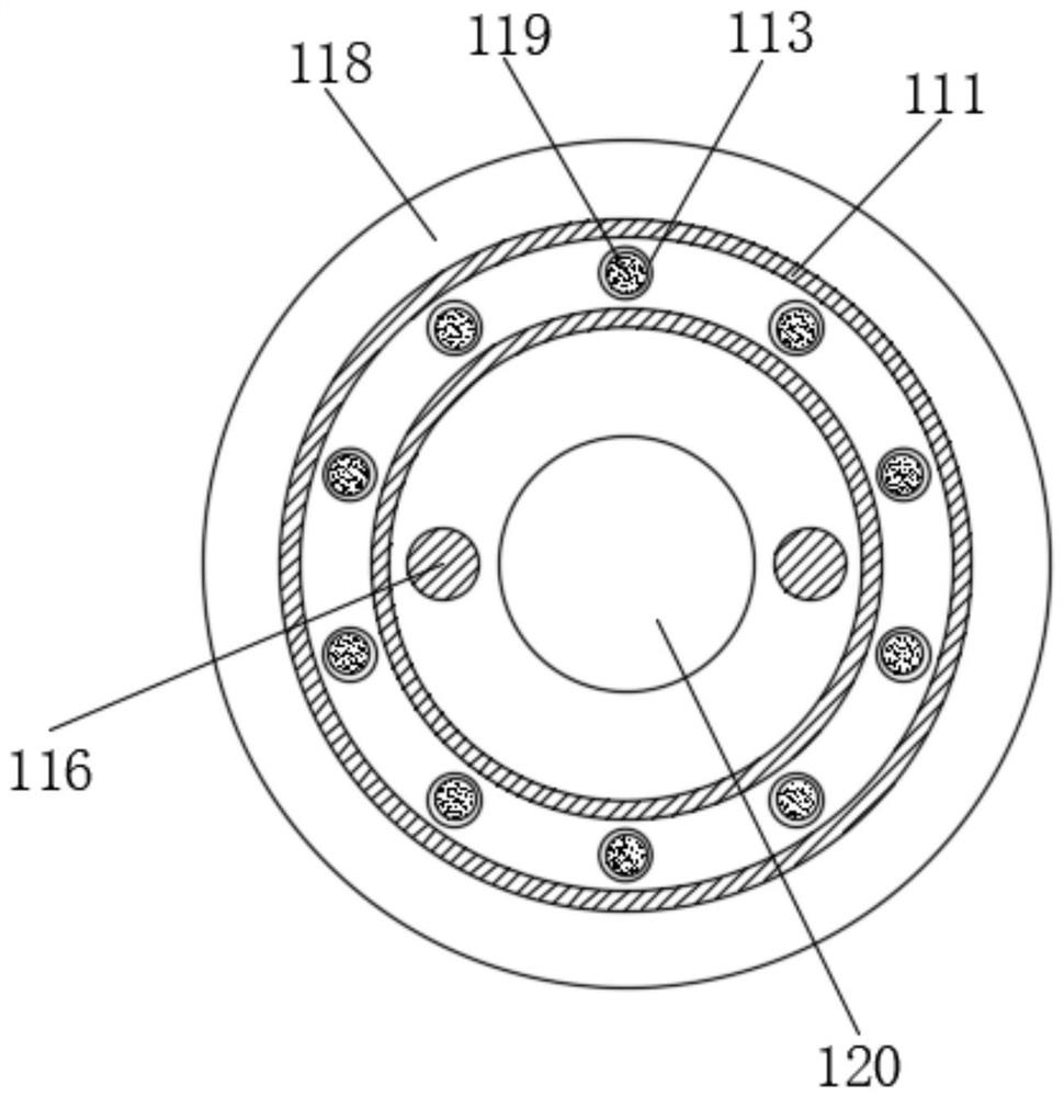 A coating device for seed processing and its application method