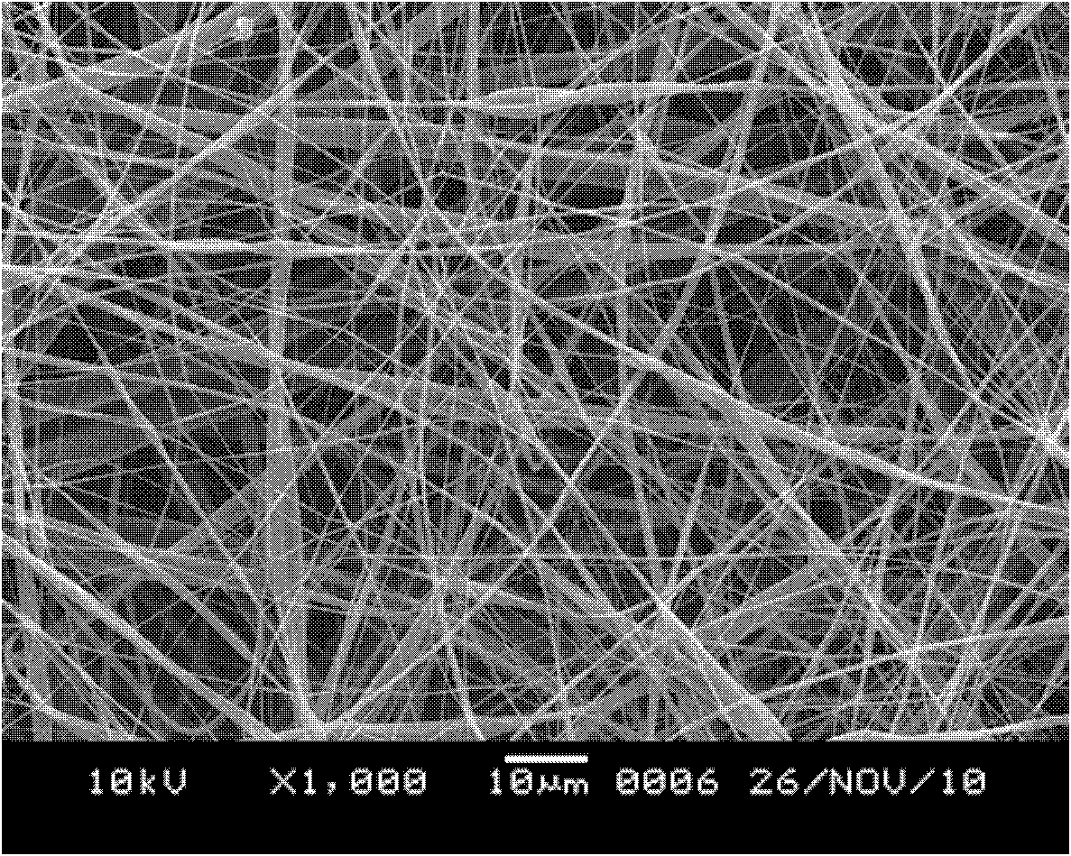 Nano-analgesic agent and preparation method thereof