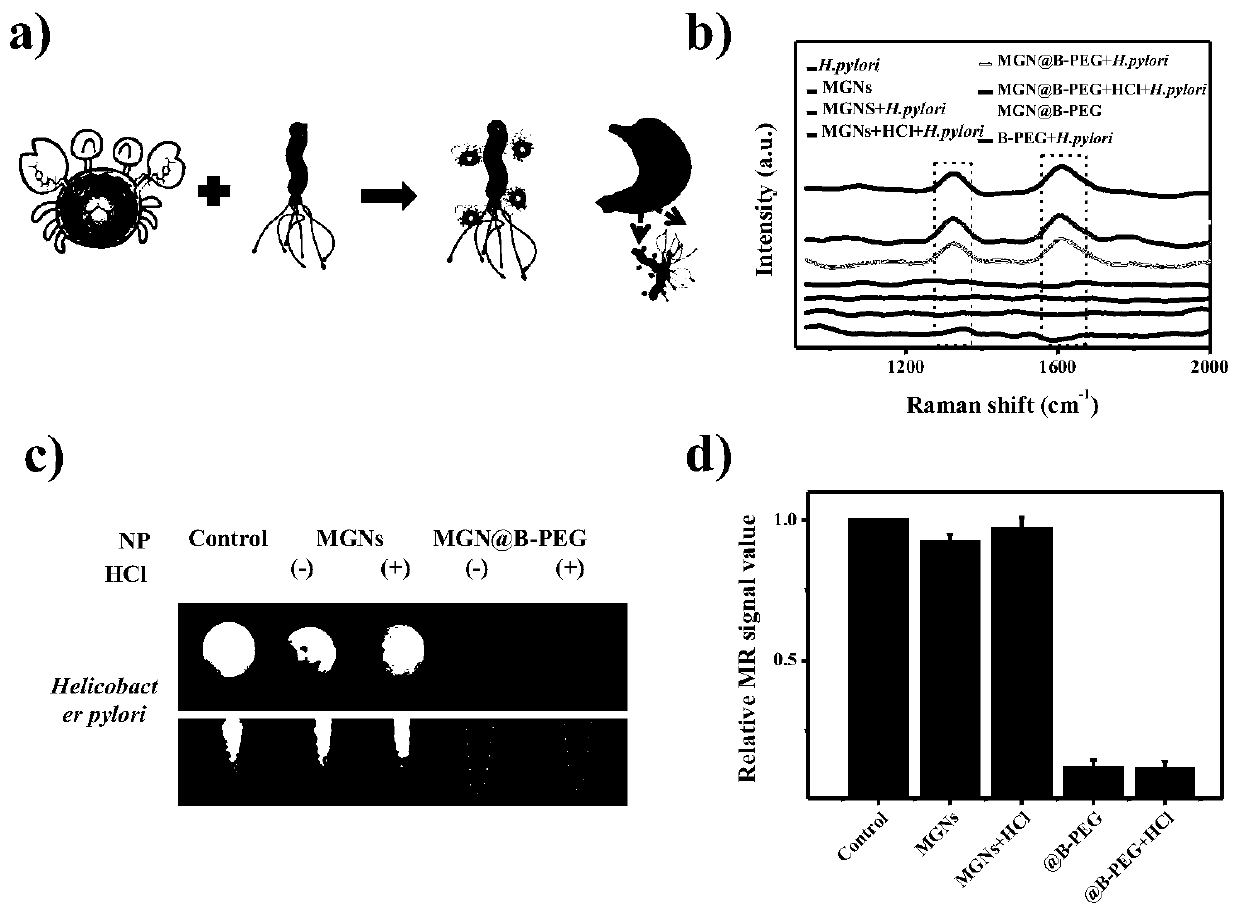 A kind of preparation method of magnetic graphene nanocomposite nanomaterial modified by boric acid PEG