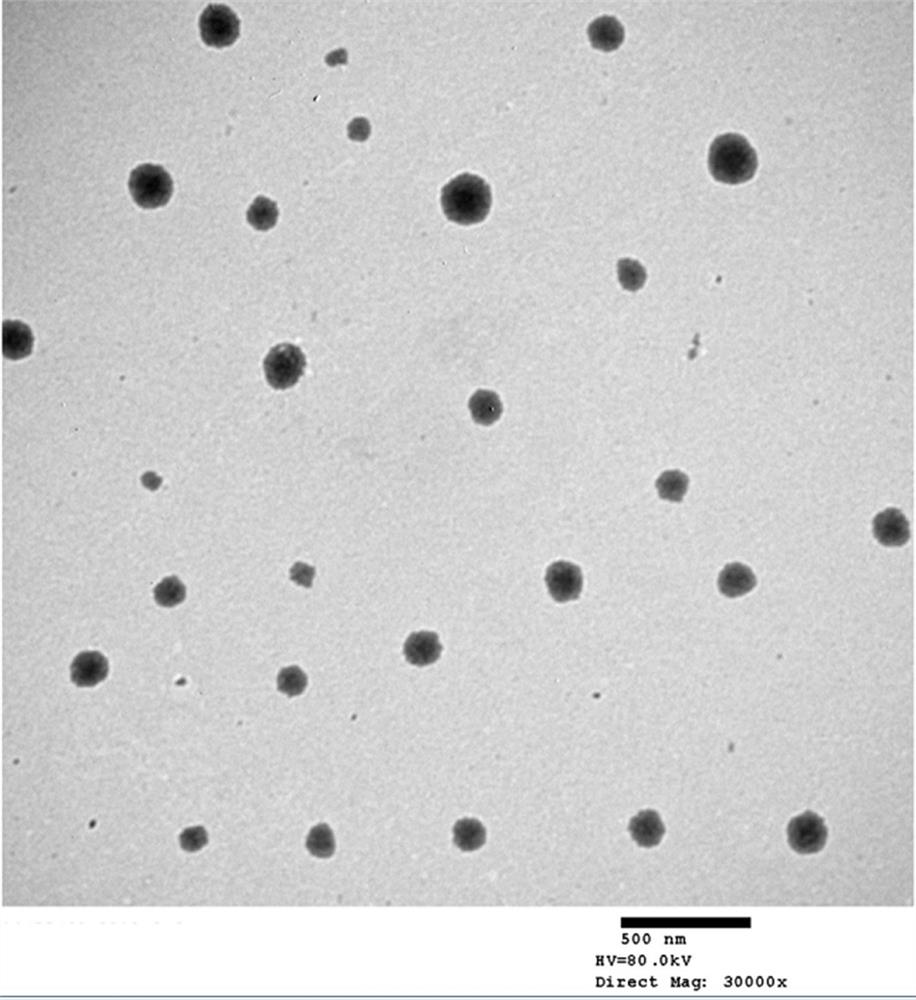 Sulfachlorpyridazine slow-release nano colloidal particle and preparation method thereof