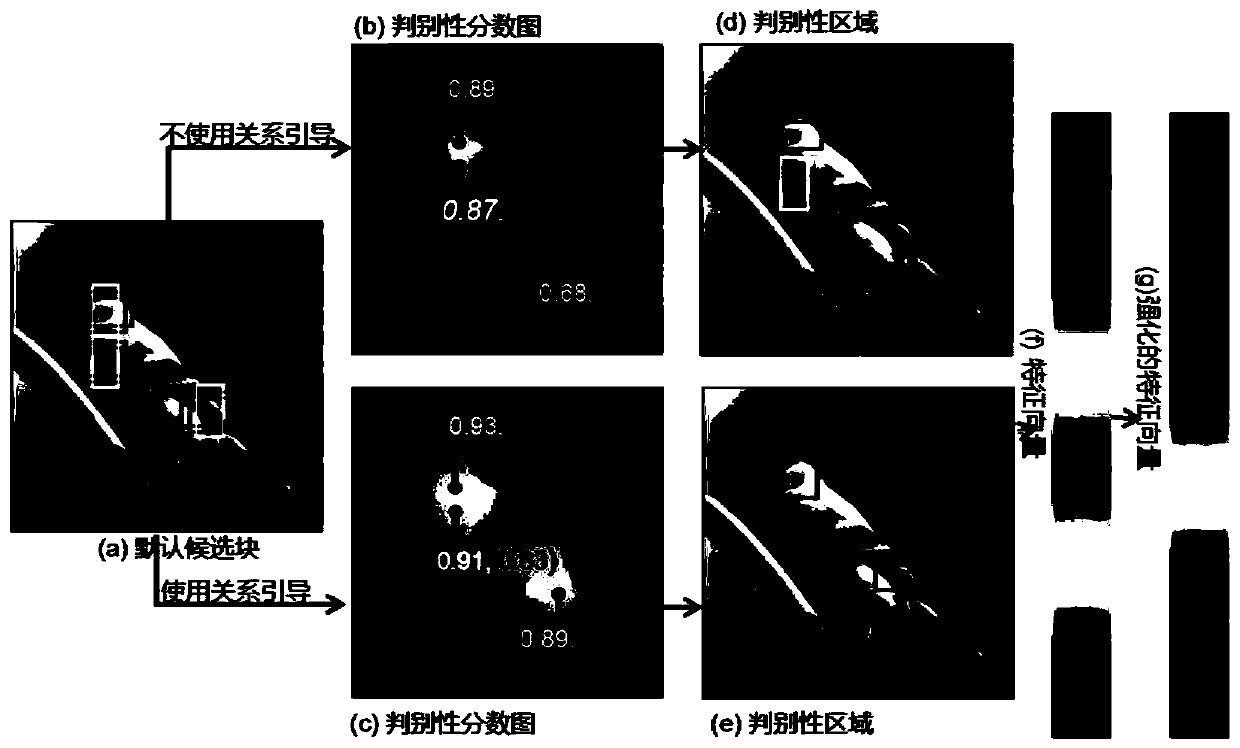 Weak supervision fine-grained image classification algorithm based on correlation-guided discriminant learning