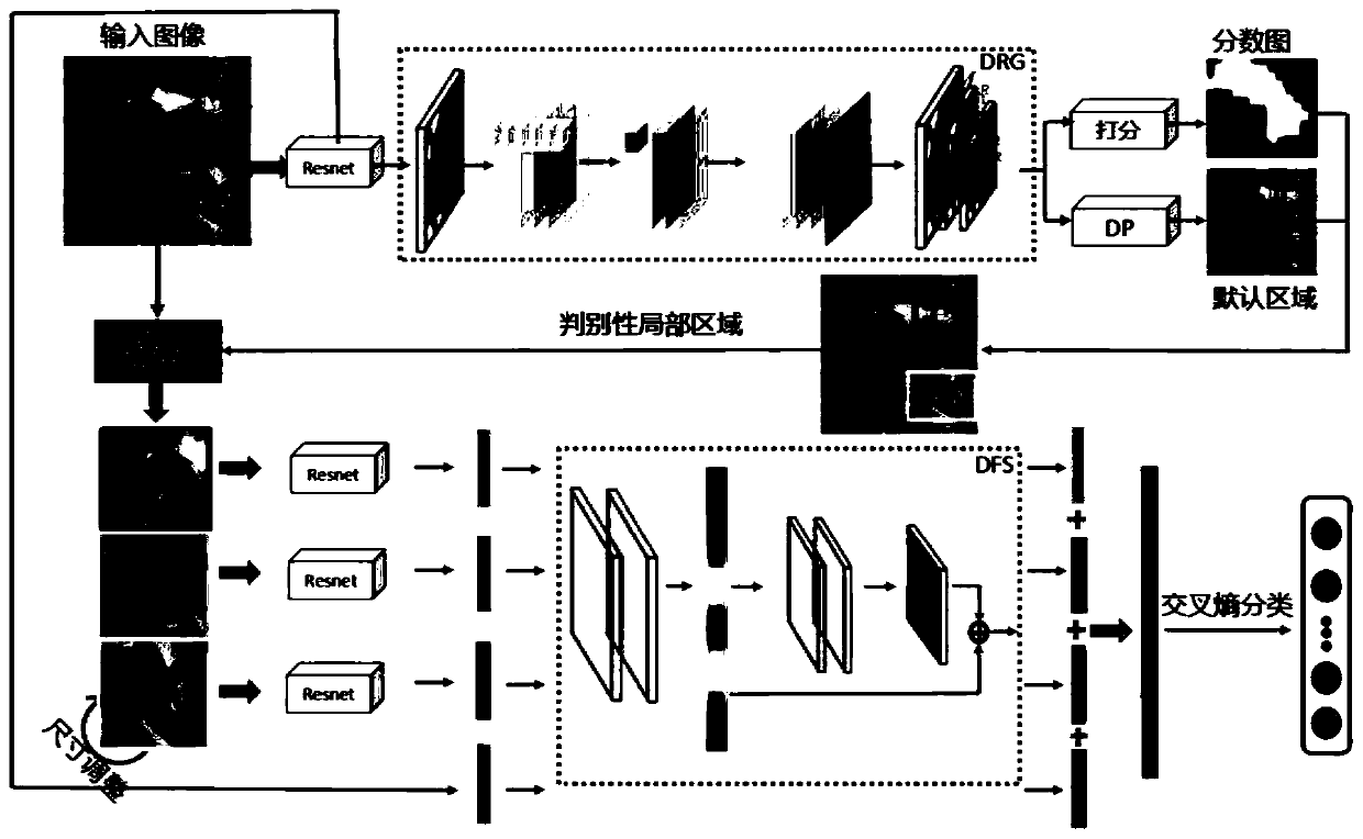 Weak supervision fine-grained image classification algorithm based on correlation-guided discriminant learning