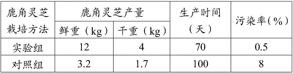 Bottle cultivation culture medium and bottle cultivation culture method for ganoderma lucidum antler